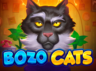 Bozo Cats Bozo Cats